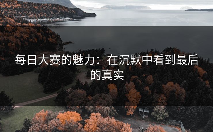 每日大赛的魅力：在沉默中看到最后的真实